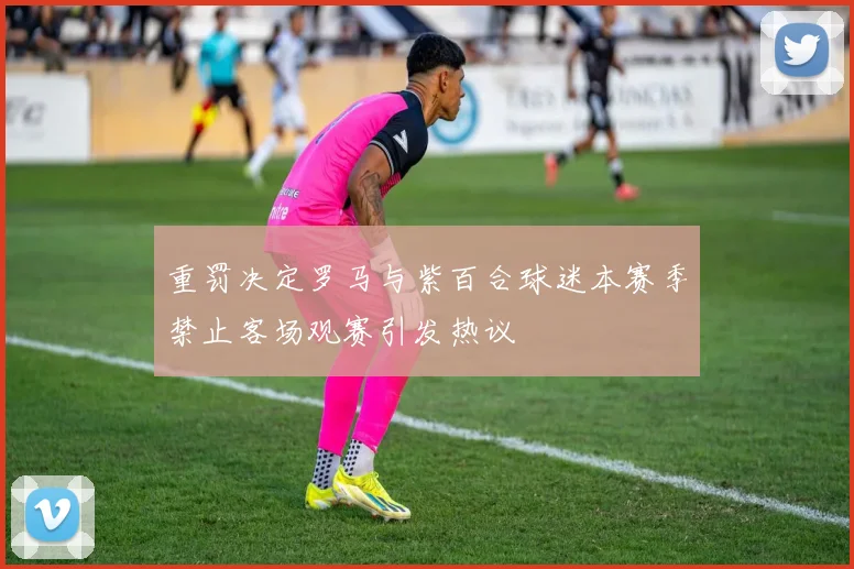 重罚决定罗马与紫百合球迷本赛季禁止客场观赛引发热议